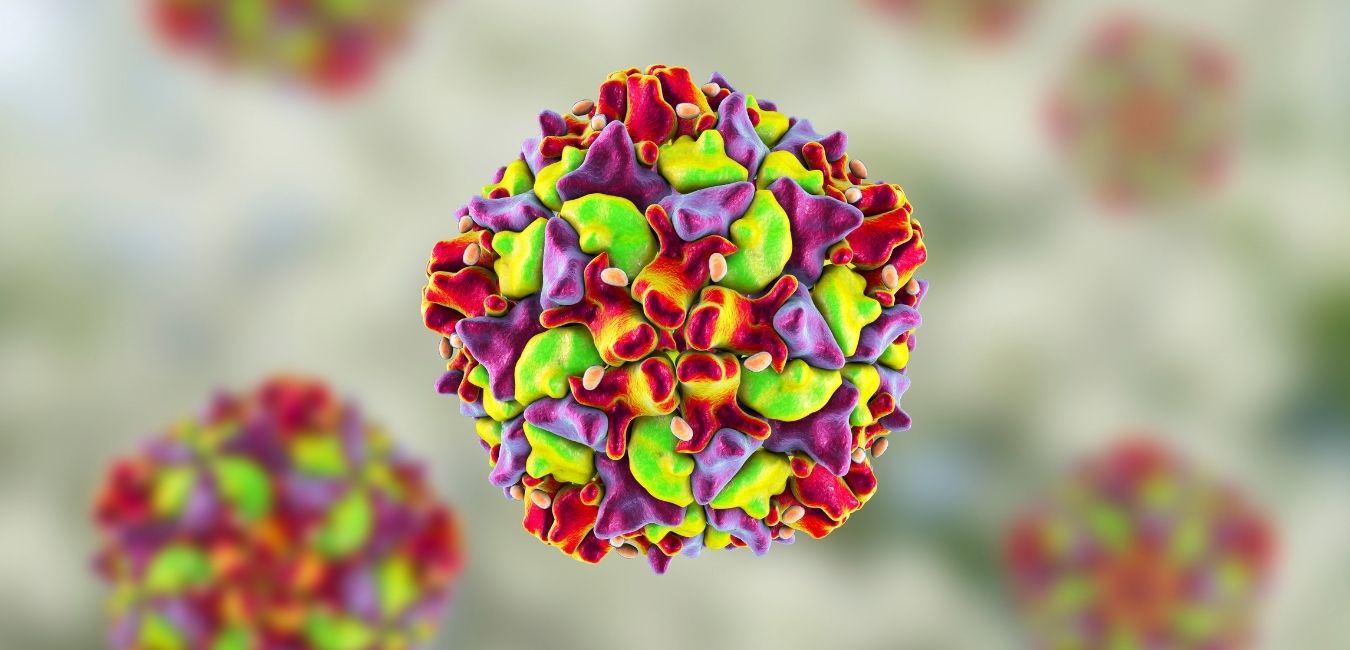 Poliovirus